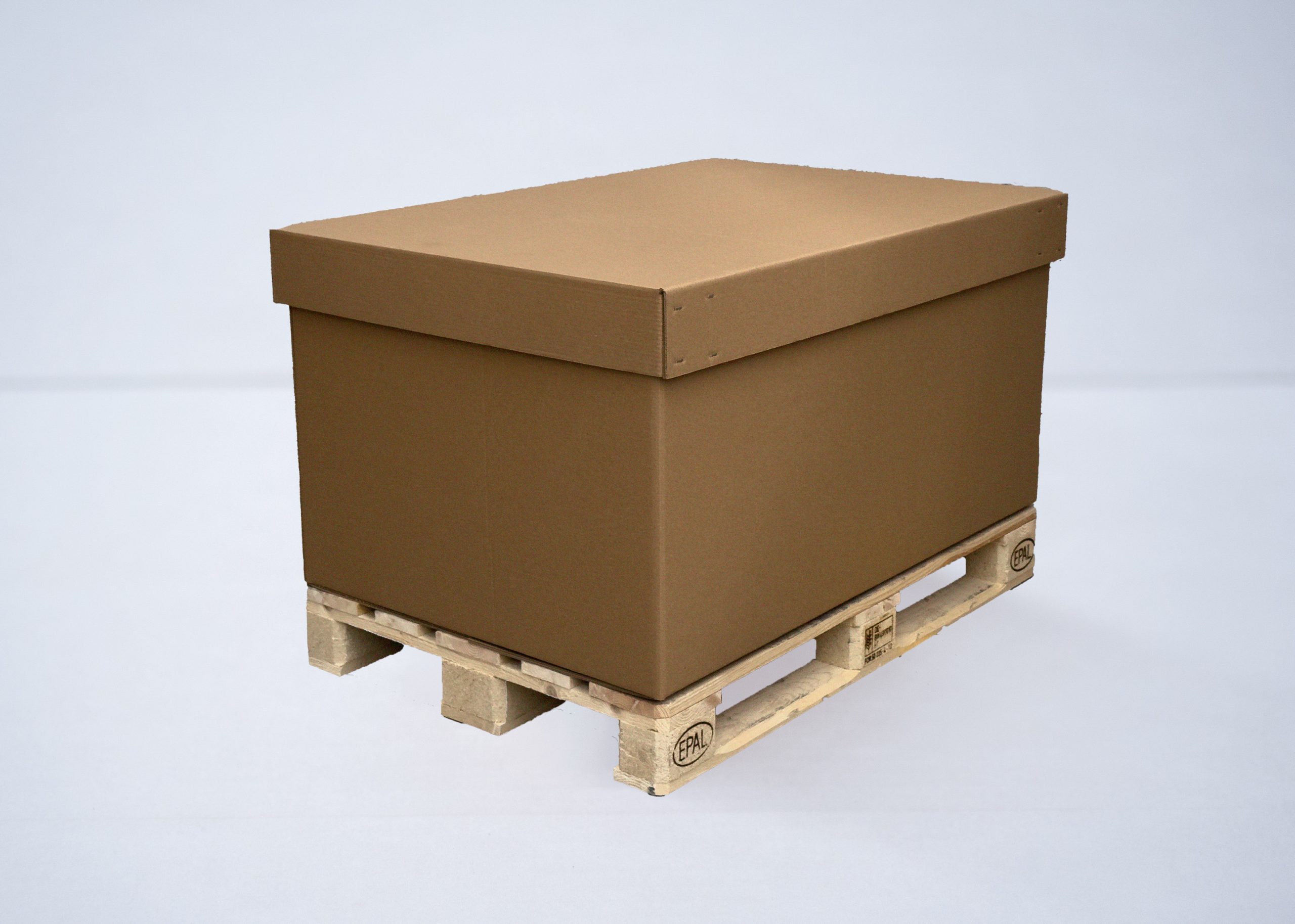 contenedor_portada_strongpack