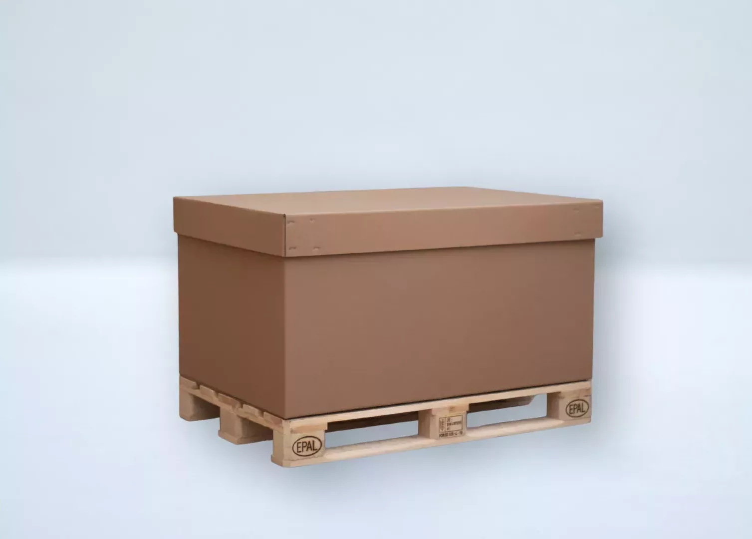 contenedor_2_strongpack